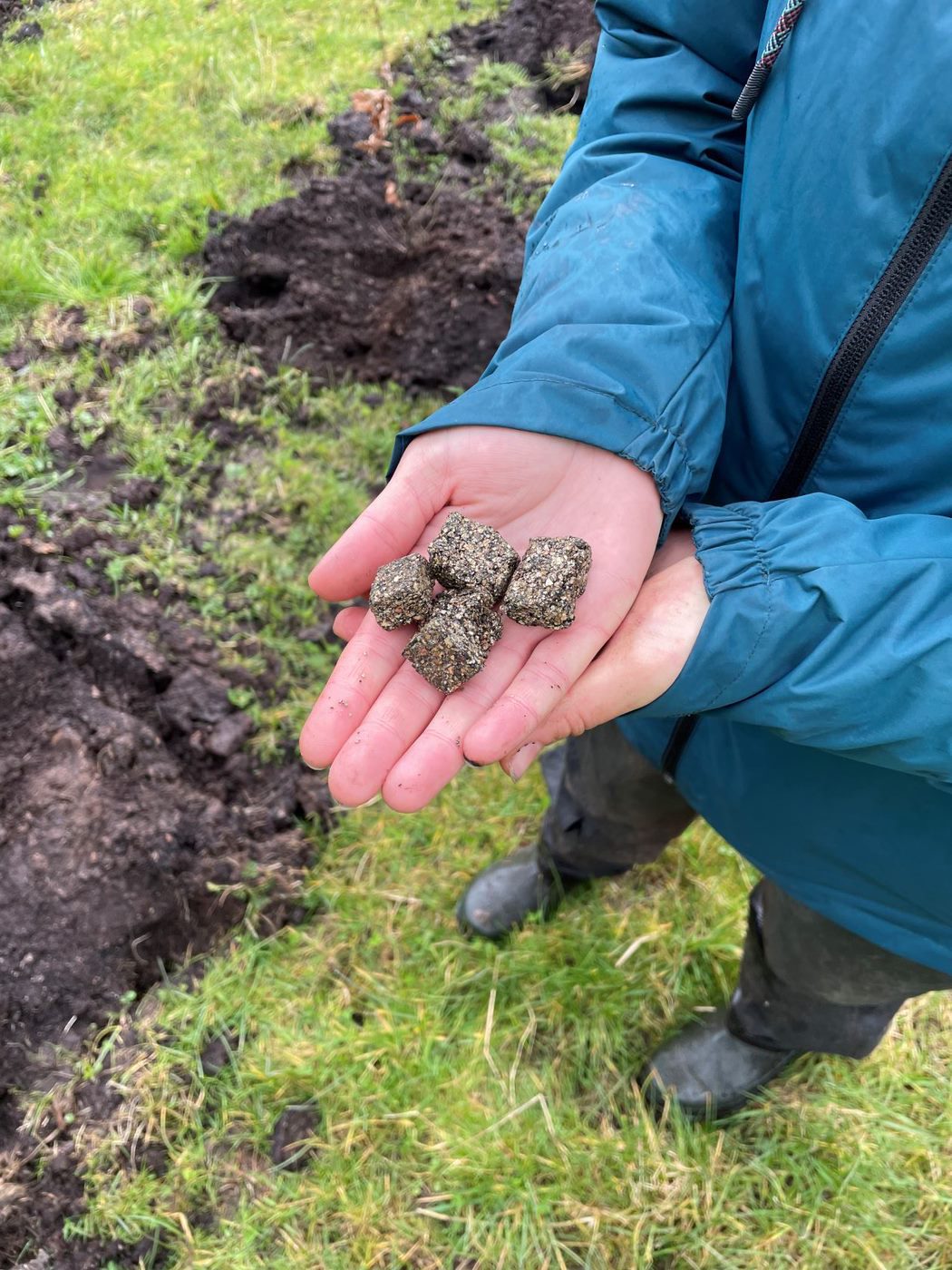 Rhizocore fungi pellets