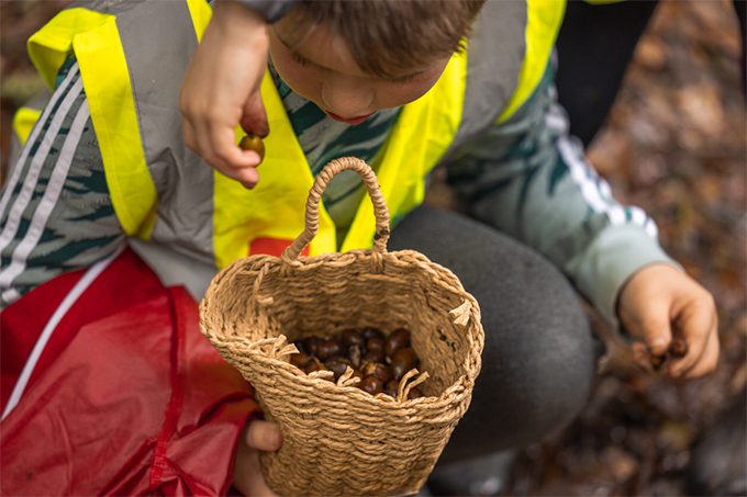 Acorn Gathering at Ballygannon 2023