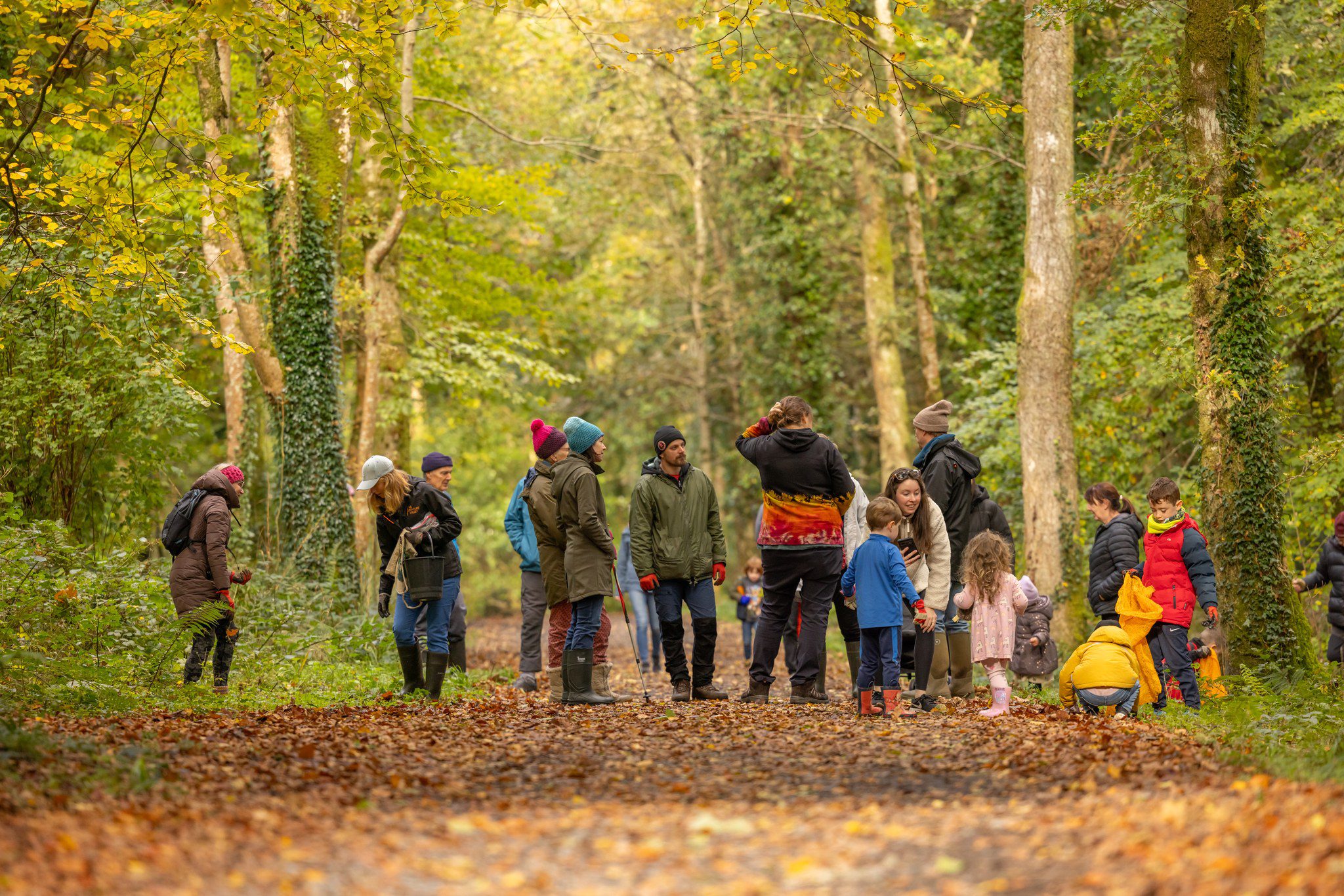 Acorn Gathering 2023 Family Day Sligo